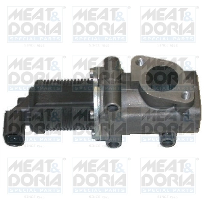 EGR Valve
